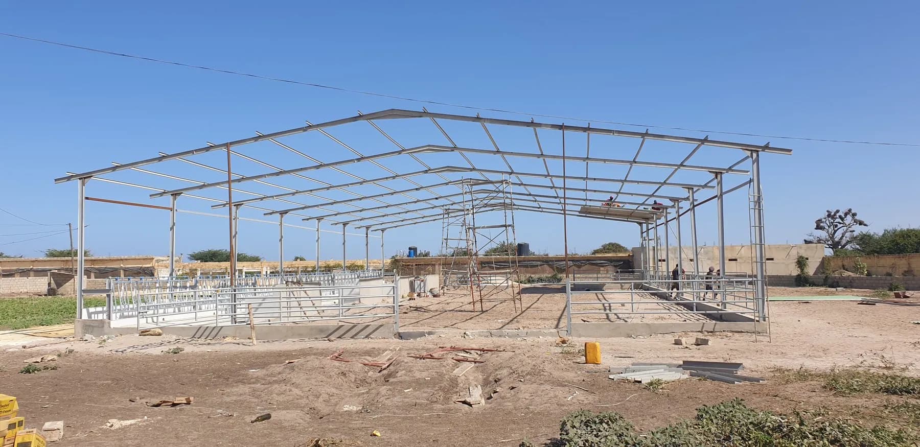 Charpente acier galvanisée d'un bâtiment d'élevage en construction sous un ciel bleu